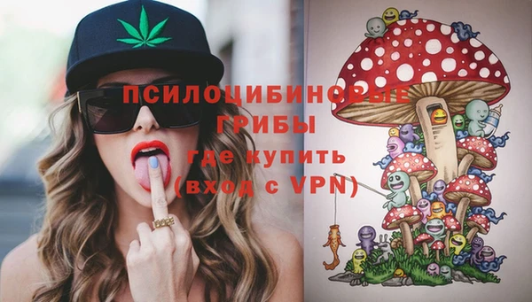 mdpv Армянск